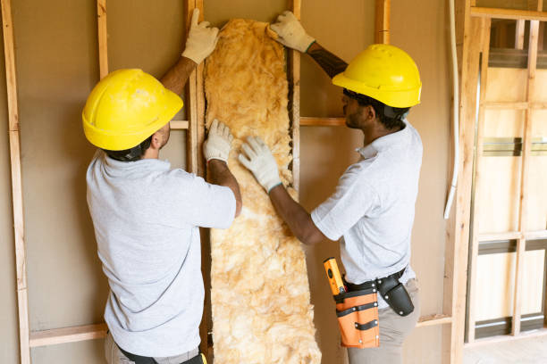 Best Attic Insulation Installation  in Waynesville, NC