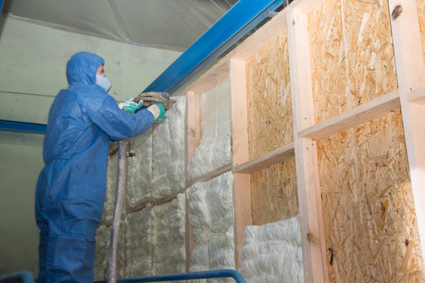 Best Energy-efficient Insulation  in Waynesville, NC
