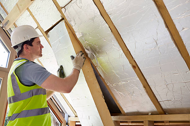 Best Insulation Repair Services  in Waynesville, NC